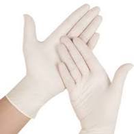 Powder Free Latex Gloves (sizes M and XL)